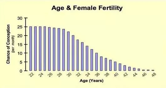 为什么越来越多的人要去美国冷冻卵子?