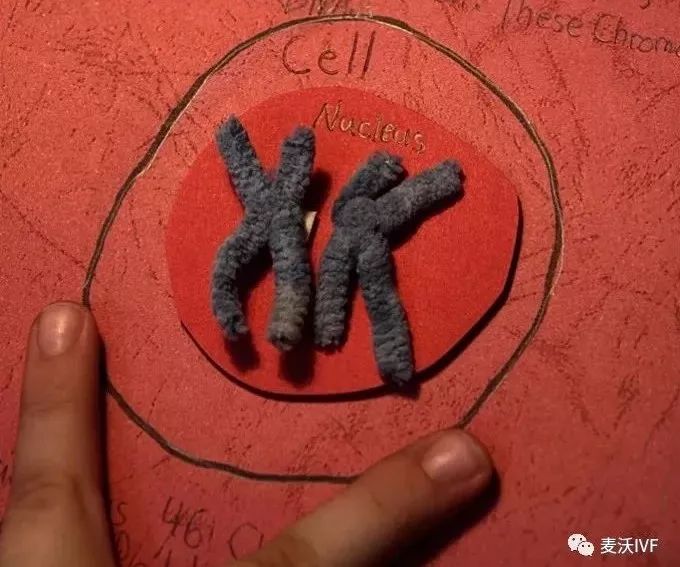 男性精子数量少对美国试管婴儿的影响