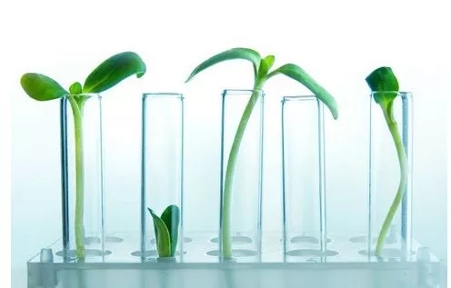 赴美国试管婴儿前需要做什么准备？