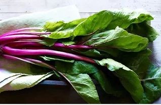 美国试管婴儿专家告诉你肚子中宝宝40周的大小变化