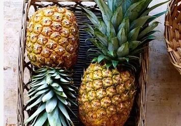 美国试管婴儿专家告诉你肚子中宝宝40周的大小变化