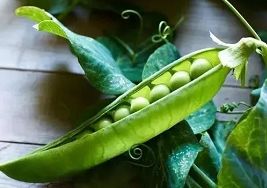 美国试管婴儿专家告诉你肚子中宝宝40周的大小变化