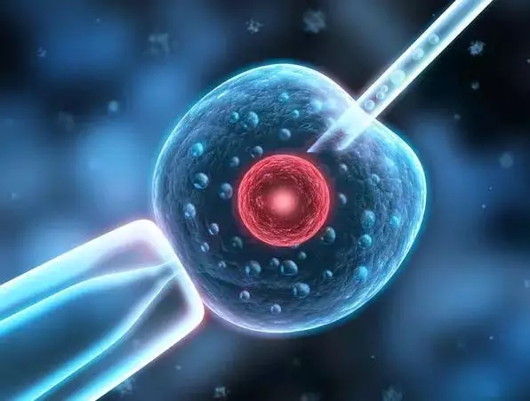 爱之晶IVF：第三代试管婴儿包含哪些技术？