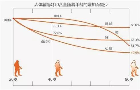 美国试管婴儿：辅酶Q10可以提升试管的成功率！
