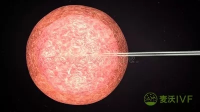 捐卵和卖卵的区别以及捐卵常识