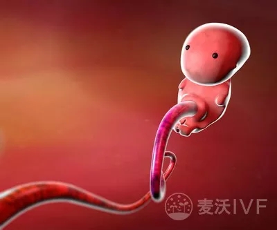美国试管婴儿：胚胎移植成功的几率是多少