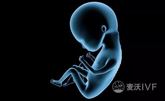 拿什么拯救“孕动力”？大揭密冷冻卵子复苏