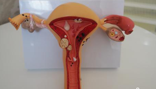 爱之晶海外试管名称解释——DHEA