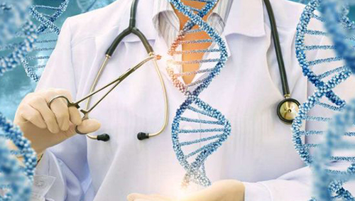 爱之晶海外试管名称解释——DHEA