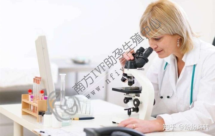 试管婴儿_1