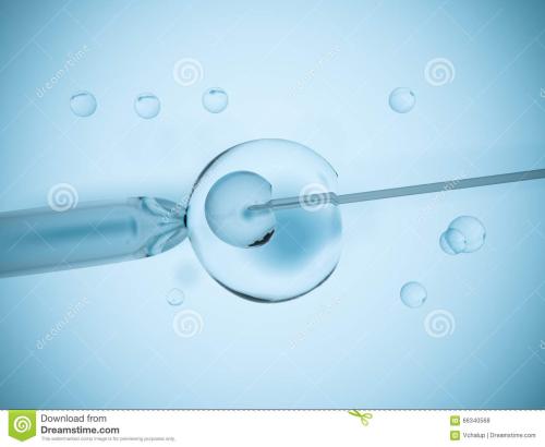 广州三代试管_2