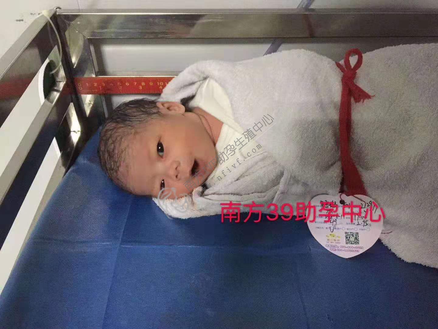 第三代试管婴儿_1