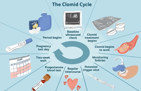 第三代试管婴儿_2