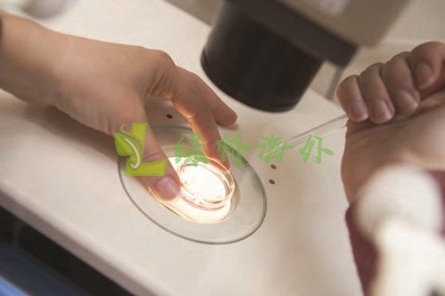 第三代试管婴儿_1