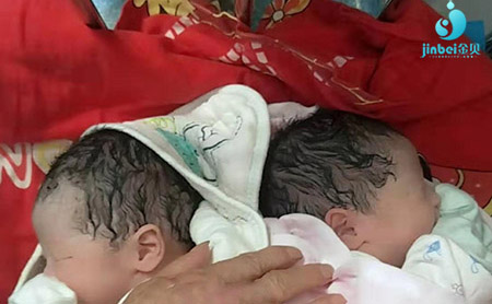 第三代试管婴儿_1