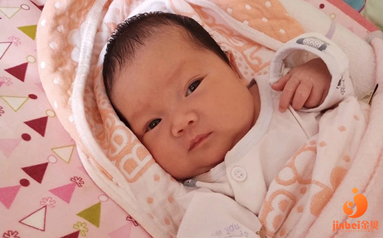 第三代试管婴儿_2