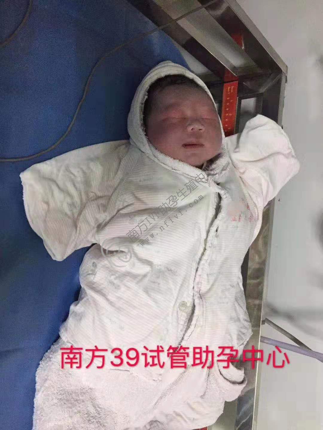 第三代试管婴儿_2