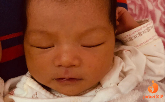 第三代试管婴儿_2