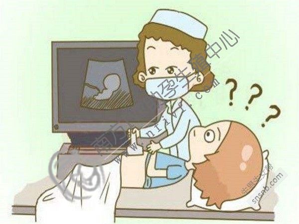 第三代试管婴儿_3