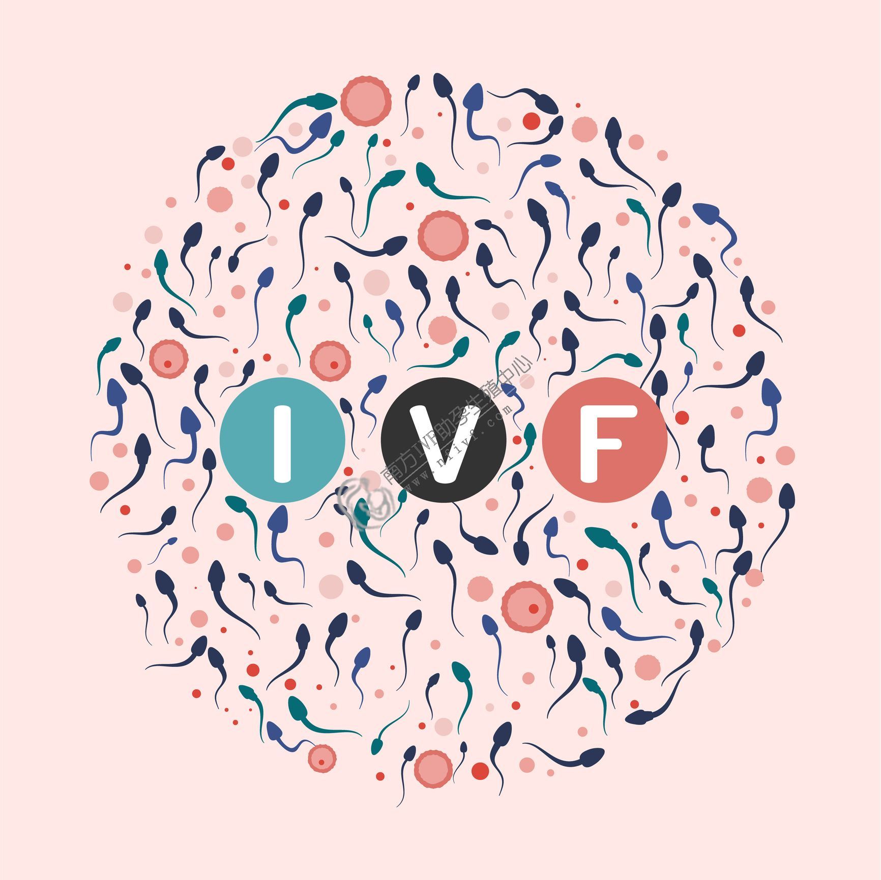 第三代试管婴儿_1