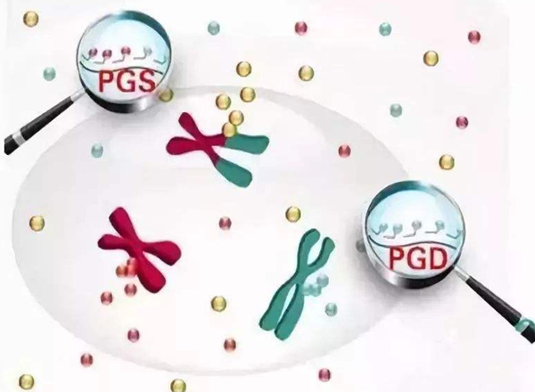 试管移植失败后多久可再做下次？失败后要怎么调理身体？