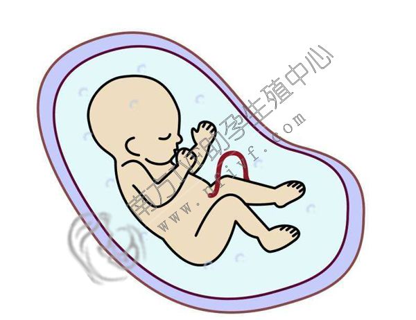 试管移植失败后多久可再做下次？失败后要怎么调理身体？