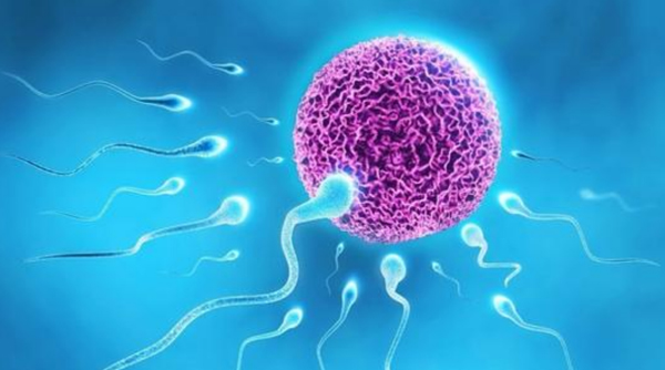 男人少精弱精还能生孩子吗？有弱精症可以做试管婴儿吗？