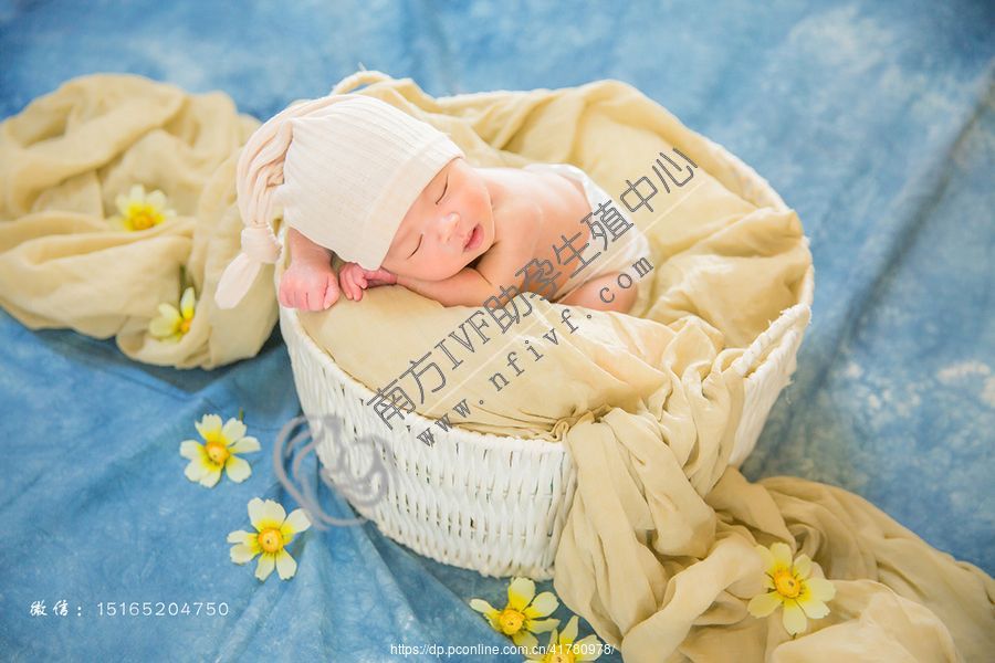 第三代试管婴儿_1