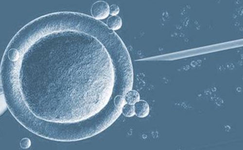 第三代试管婴儿_1