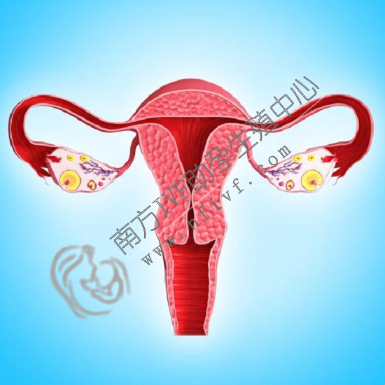 第三代试管婴儿_1