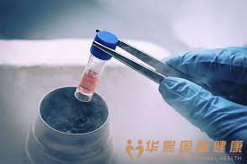 试管婴儿_2