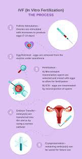 第三代试管婴儿_1