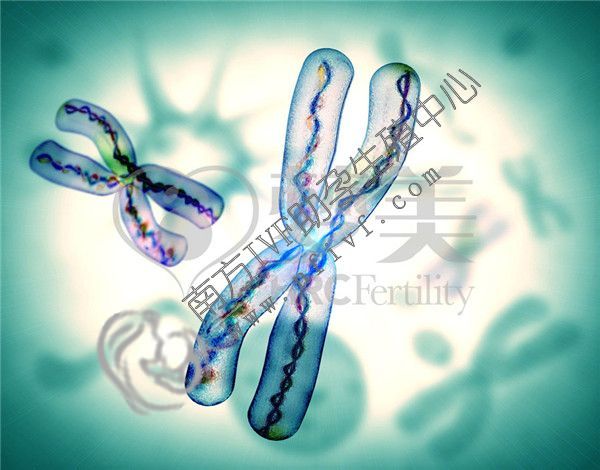 第三代试管婴儿_1