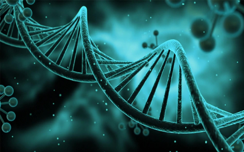 染色体异常只是生化妊娠其中一种