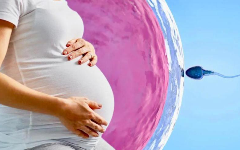 45岁做试管婴儿成功率只有10%