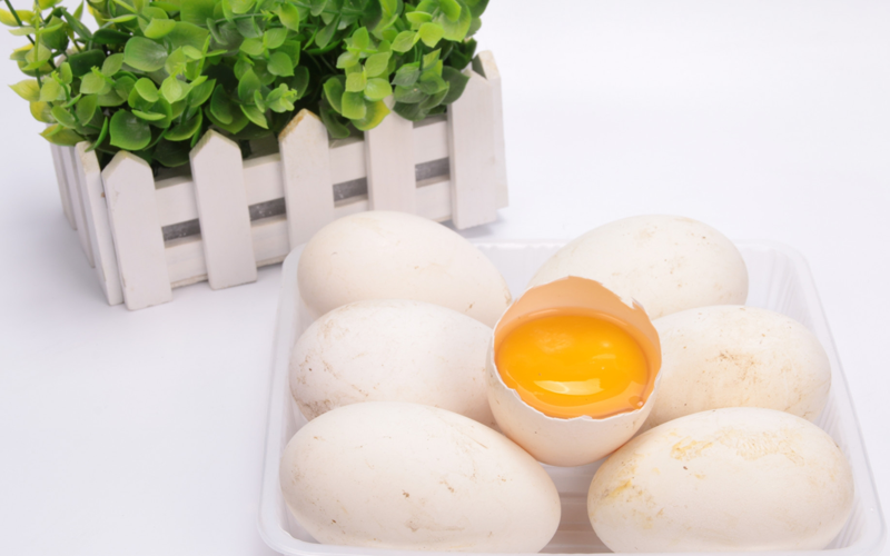 怀孕吃鹅蛋能增强记忆力