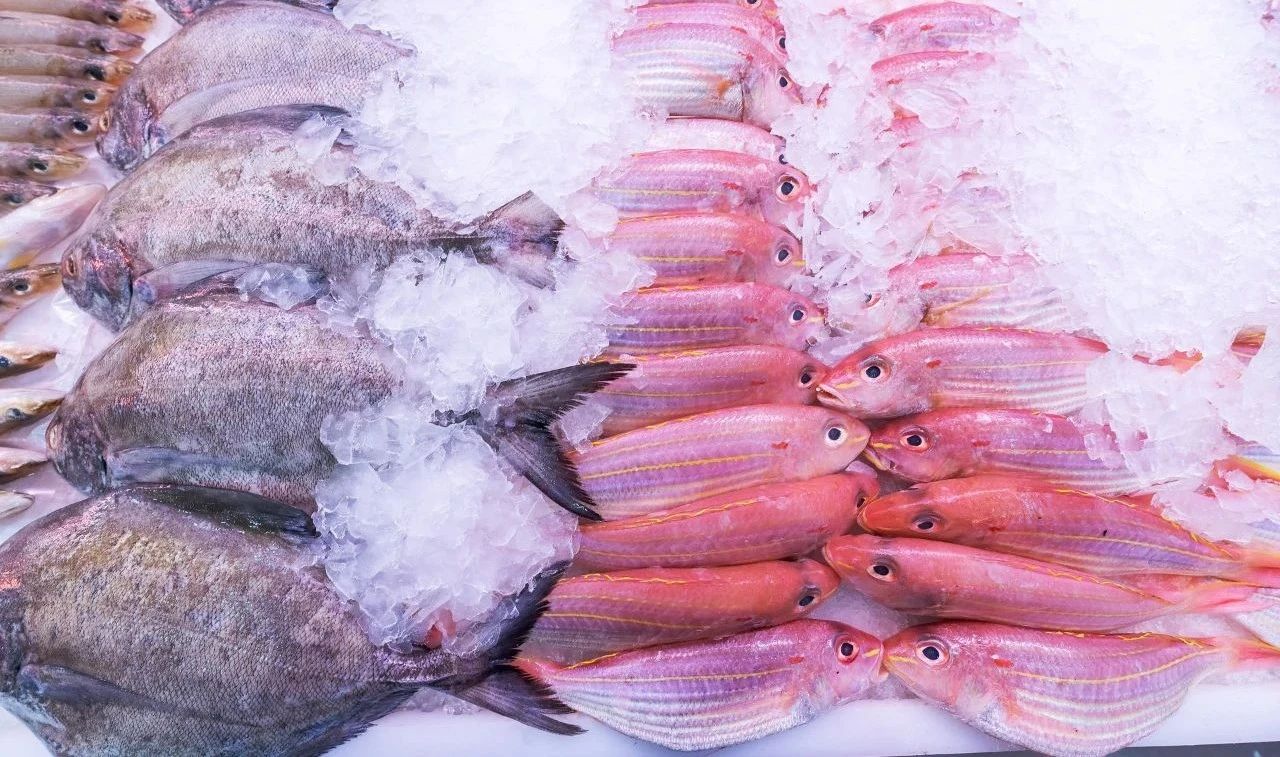 微信图片_20220909155607.jpg 微信图片_20220909155607.jpg