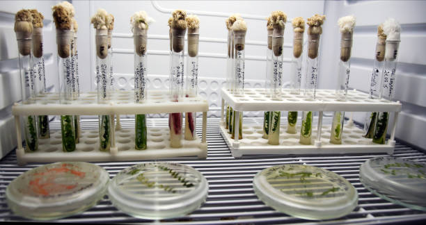 100001933.jpg 100001933.jpg