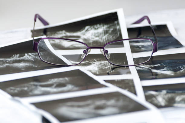 100000000951.jpg 100000000951.jpg