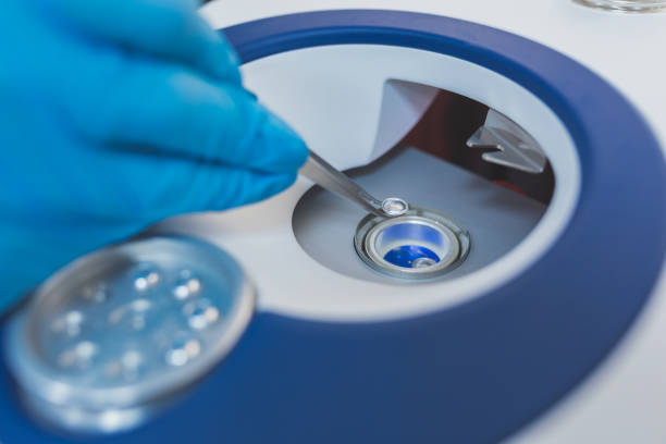 中马吉孕：做试管婴儿多久能测到卵黄囊？