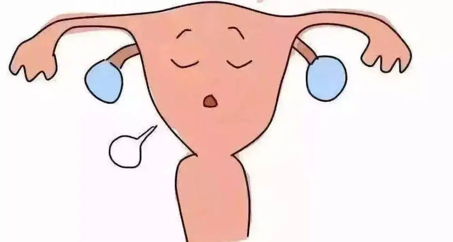 中马吉孕：子宫畸形的女性可以做试管吗？