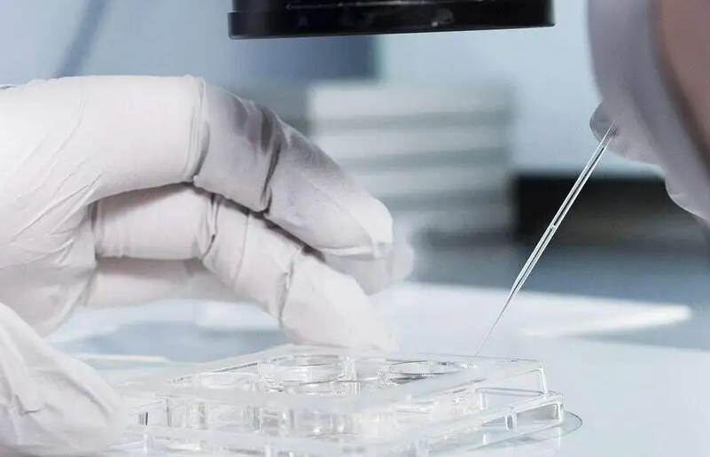 中马吉孕：试管婴儿如何做到真正提高成功率？