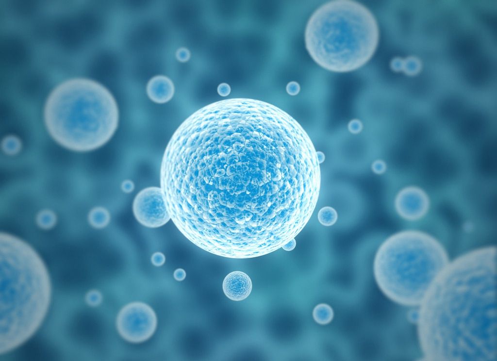 中马吉孕：武汉试管婴儿移植成功的症状