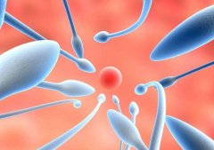 中马吉孕：高龄取卵多建议用什么方案？