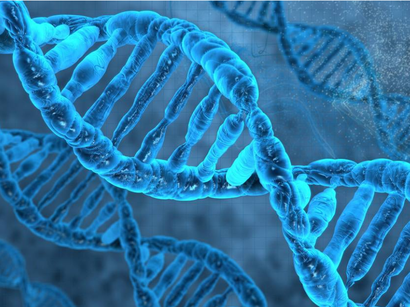 中马吉孕：染色体异常包括哪些具体方面?武汉助孕