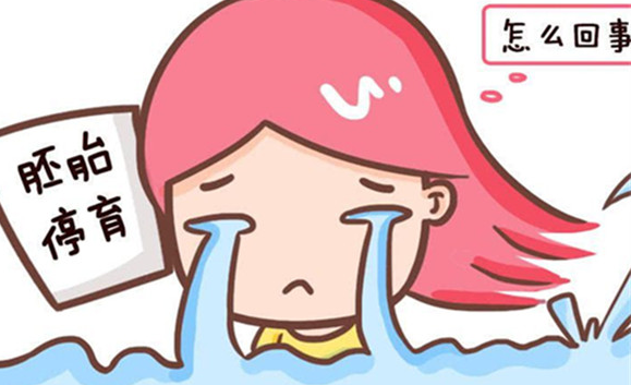 中马吉孕：影响胚胎着床的几大因素有哪些？