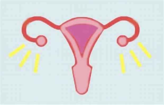 中马吉孕：做试管婴儿为什么要养好内膜?